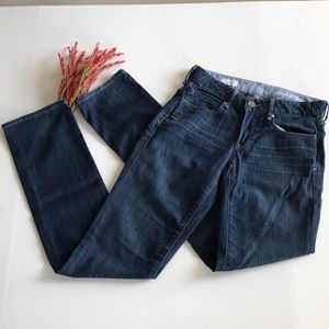 Gap 1969 Size 27/4R Five Pocket Straight Leg Jeans